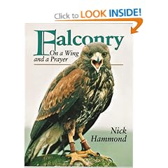 Falconry: On a Wing and a Prayer