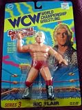 WCW Rick Flair Wrestling Action Figure Series 3 WWF WWEIMAGE