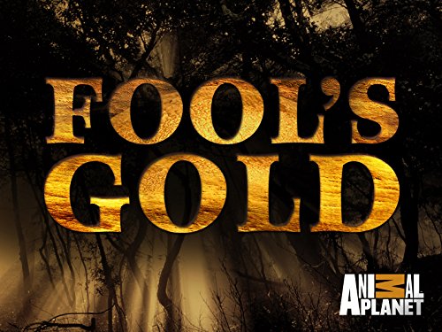 Fool's Gold Season 1