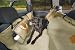 Pet Supplies : Kurgo Wander Hammock, Khaki with Orange