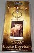 Twilight New Moon Lucite Keychain Jacob