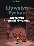 Llywelyn Fychan : dirgelwch Rheinallt Gwynedd