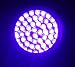 Tools & Home Improvement : 395 nM 51 UV Ultraviolet LED flashlight Blacklight 3 AA, 7202UV395