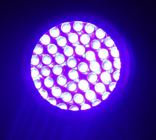 395 nM 51 UV Ultraviolet LED flashlight Blacklight 3 AA, 7202UV395