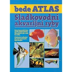 Ratgeber Terrarienbau