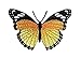Monarch Butterfly - Black/Yellow - Iron on Applique/Embroidered Patch