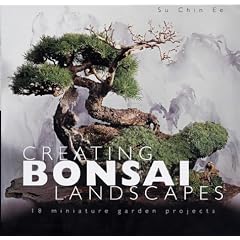 Creating Bonsai Landscapes: 18 Miniature Garden Projects