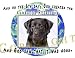 labrador15  - Black Labrador Retriever Mouse Pad Dog Mousepad Creation