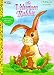 Books : The Velveteen Rabbit (Coloring Book)
