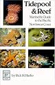 Tidepool and Reef Marine Life Guide to the Pacific Northwest Coast: Marinelife Guide to the Pacific Northwest Coast