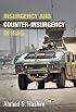 Insurgency and Counter-Insurgency in Iraq