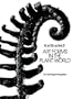Art Forms in the Plant World: 120 Full-Page Photographs (Dover Pictorial Archive)