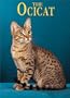 The Ocicat (Learning about Cats (Capstone))