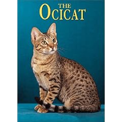 The Ocicat (Learning About Cats)