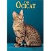 The Ocicat (Learning About Cats)