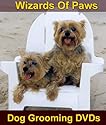 Grooming Yorkshire Terriers