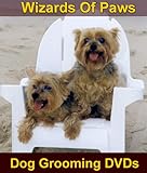 Grooming Yorkshire Terriers