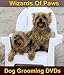 yorkshire terrier - Grooming Yorkshire Terriers