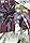 �@����m������SEED DESTINY 10 [DVD]
