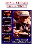  : Fly Fishing - Small Stream Brook Trout