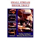 Fly Fishing - Small Stream Brook Trout by 