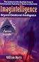 Imagintelligence: Beyond Emotional Intelligence