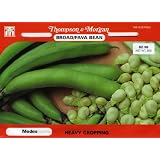Thompson & Morgan 456 Bean Fava Bean 'Medes' Double Seed Packet