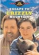 Escape to Grizzly Mountain