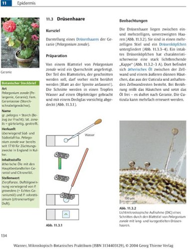 Mikroskopisch-Botanisches Praktikum für Anfänger