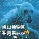 旭山動物園写真集 (DVD-VIDEO(1枚)付)