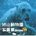 ���R�������ʐ^�W (DVD-VIDEO(1��)�t)