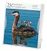 Audubon Birds 2015 Gallery Calendar