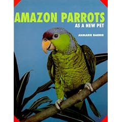 Amazon Parrots As a New Pet