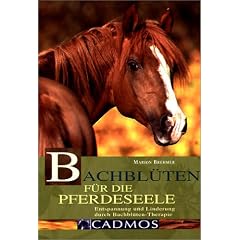 Bachbl�ten f�r die Pferdeseele: Entspannung und Linderung durch Bachbl�ten-Therapie