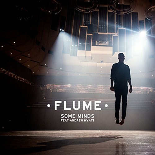 Flume - Some Minds (feat. Andrew Wyatt) - Zortam Music
