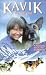 Kavik the Wolf Dog