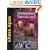 Lhasa Apso (Dog Breed Book)