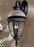 Minka Lavery HERON BAY OUTDOOR WALL MOUNT - Black - Cast Aluminum - B00084E9DW