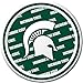 Michigan State Spartans Party Pack - Plates, Cups, Napkins - Serves 8