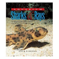 Aquarium Sharks and Rays
