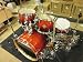 Sonor Essential Force Stage 1, Amber Fade