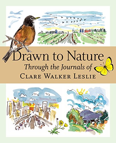 drawn to nature through the journals of clare walker leslie