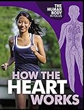 How the heart works