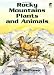 Rocky Mountains Plants and Animals Coloring Book (Dover Nature Coloring Book) by Dot Barlowe, Coloring Books