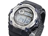 CASIO Baby-G �J�V�I �r���v REEF BG3003V-1