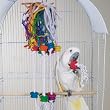 BERSERK - Brainy Bird Wild Series Toys