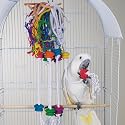 BERSERK - Brainy Bird Wild Series Toys