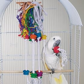 BERSERK - Brainy Bird Wild Series Toys