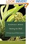 Stirring the Mud: On Swamps, Bogs, and Human Imagination