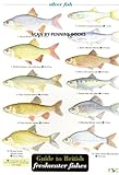 Guide to British freshwater fishes